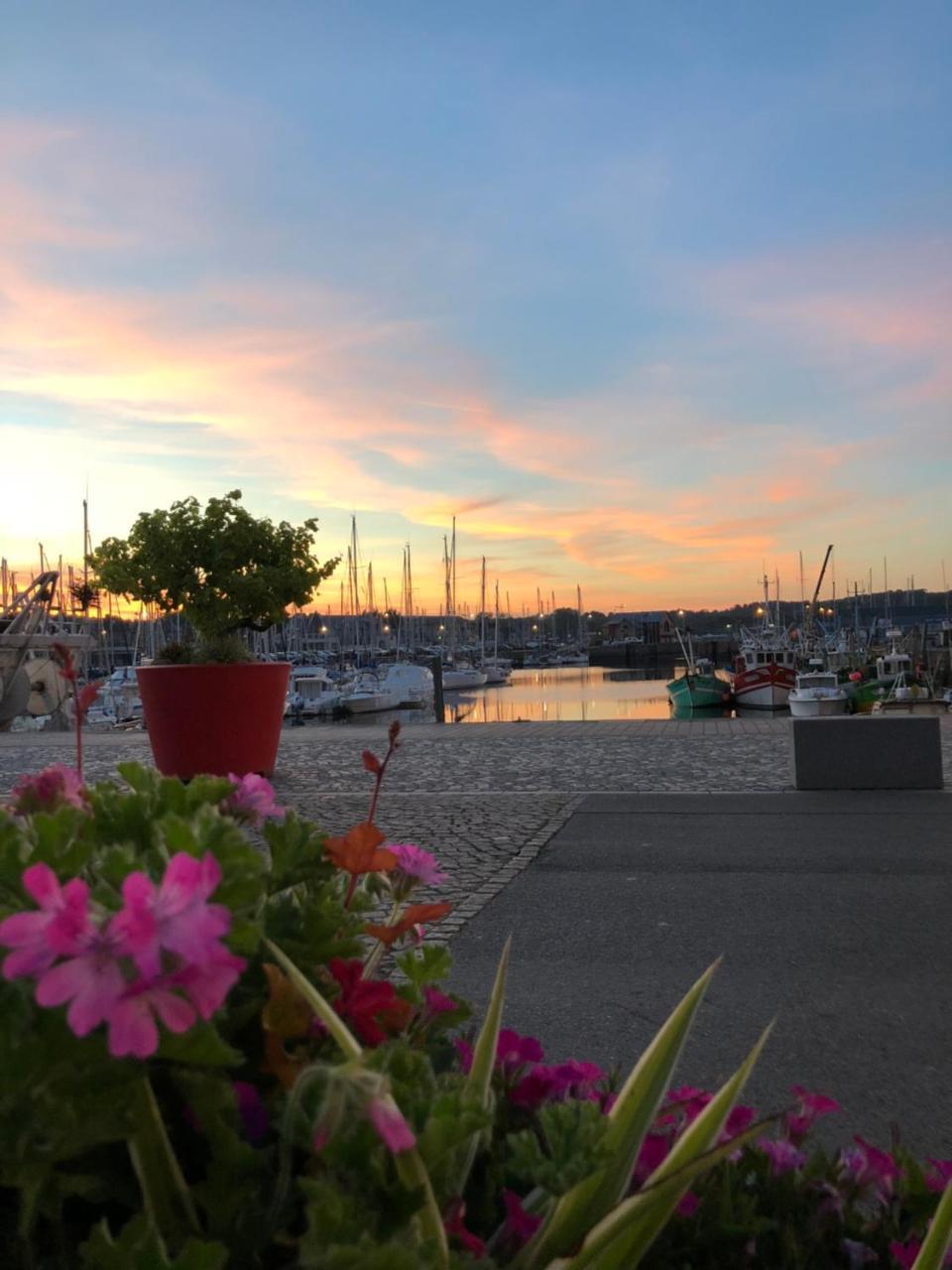 Hotel Restaurant Le Terre Neuvas Paimpol Kültér fotó